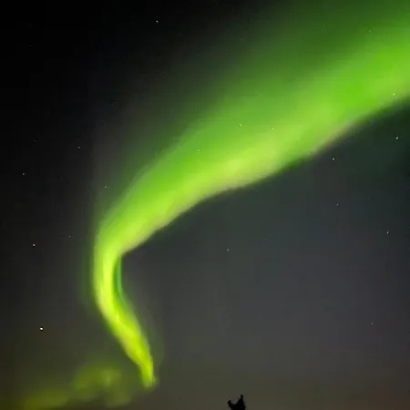 Moonlight Aparment With Sauna Apartment Levi