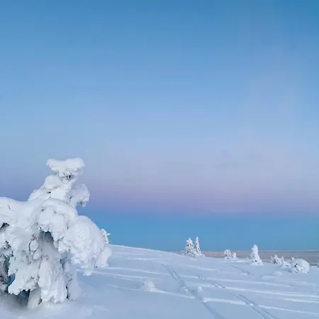 Moonlight Aparment With Sauna