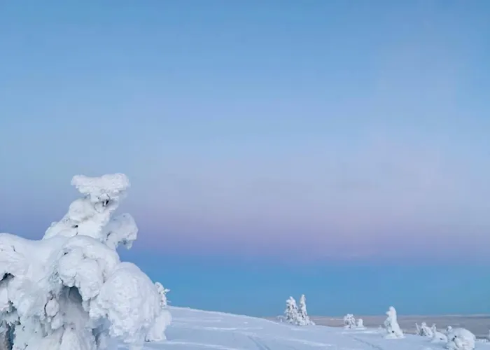 Moonlight Aparment With Sauna